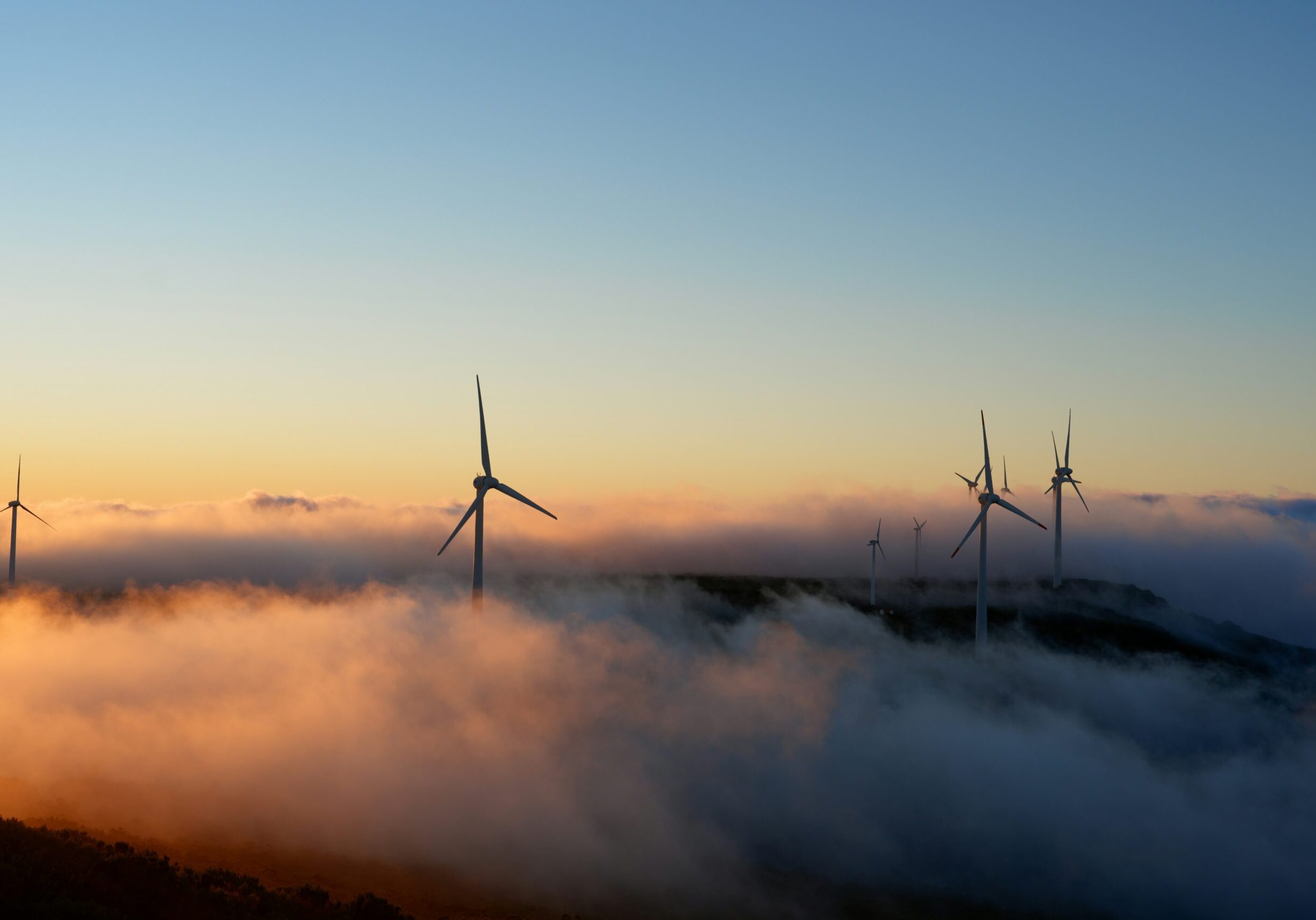 colin-watts-q5V-2vUZ18s-unsplash